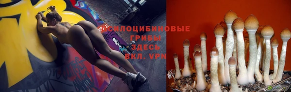 2c-b Елизово