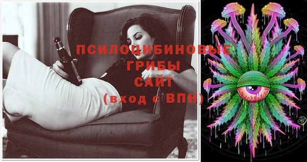 эйфоретик Елабуга