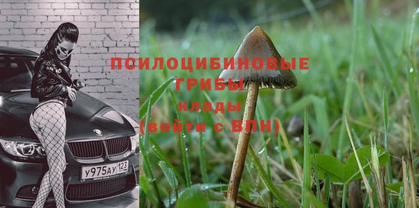 2c-b Елизово