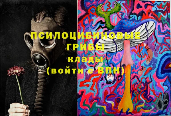 скорость Ельня