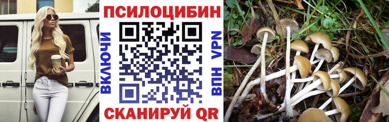 Купить где  Андреаполь  Псилоцибиновые грибы ЛСД 